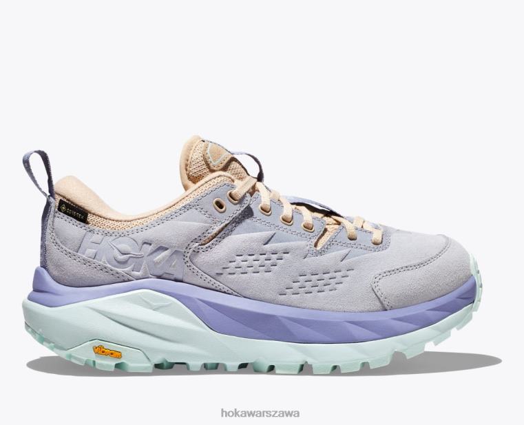 ok, niskie gtx Hoka L0PVV111 kobiety wrażenie arktycznego lodu/fioletu